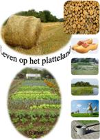 Leven op het platteland